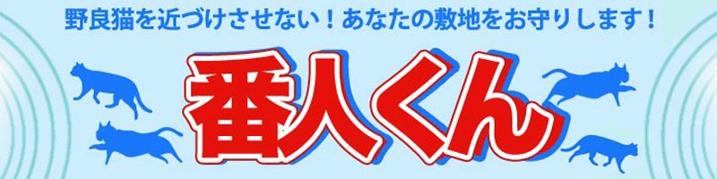 L悯ObY̔ԐlTCg